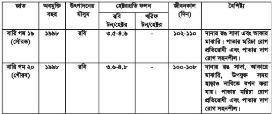 গমের জাত ও মৌসুম