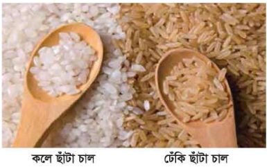 চাল থেকে খাদ্য তৈরি