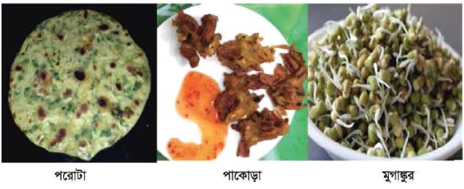 মুগ ডাল ও মটর ডাল থেকে বিভিন্ন খাদ্য তৈরি