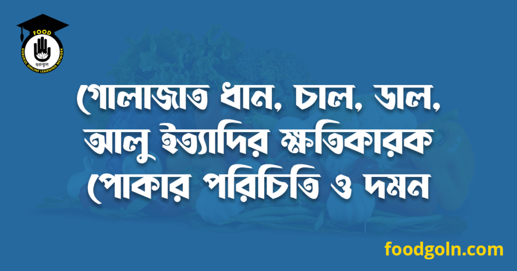 গোলাজাত ধান, চাল, ডাল, আলু ইত্যাদির ক্ষতিকারক পোকার পরিচিতি ও দমন