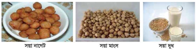 শিল্পজাত সয়া খাদ্য