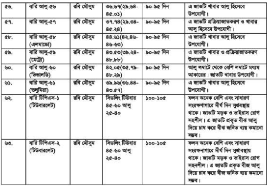 আলুর জাত