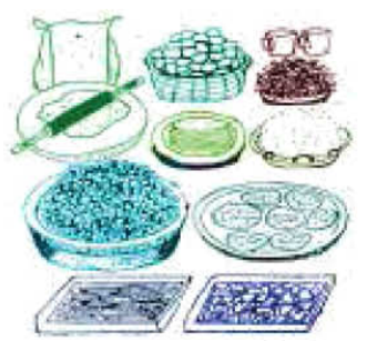 আলু থেকে প্রাপ্ত বিভিন্ন খাদ্য