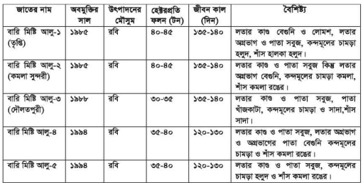 মিষ্টি আলুর পুষ্টিমান ও জাত