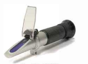 মিষ্টি আলু থেকে জ্যাম ও মণ্ড 4 মিষ্টি আলু থেকে জ্যাম ও মণ্ড