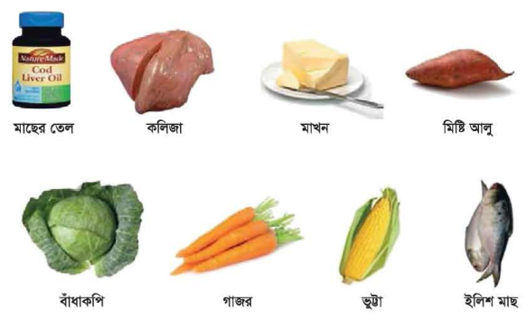 ভিটামিনের কাজ