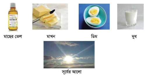 ভিটামিনের কাজ