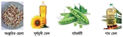 ভিটামিনের কাজ