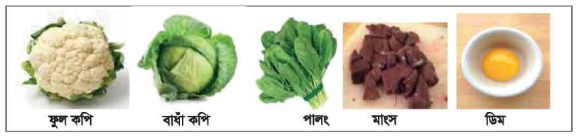 ভিটামিনের কাজ