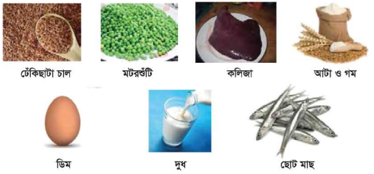 ভিটামিনের কাজ