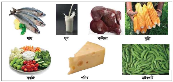 ভিটামিনের কাজ