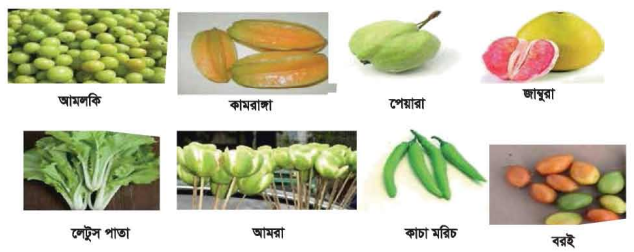 ভিটামিনের কাজ
