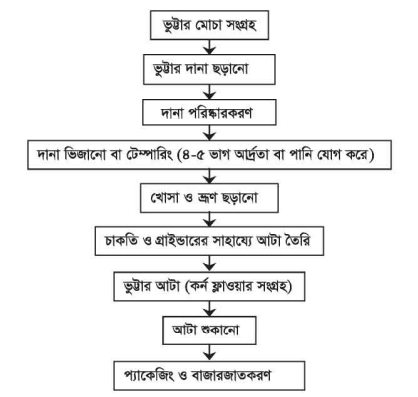 ভুট্টা মিলিং