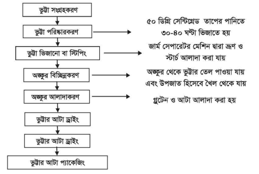 ভুট্টা মিলিং