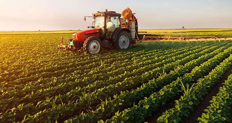 নারিকেল সহযোগে বিভিন্ন খাদ্যদ্রব্য অনুশিলন প্রশ্ন 4 নারিকেলের ক্যান্ডি বা চকলেট