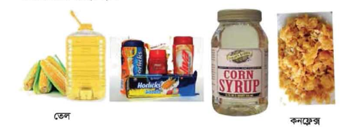 ভুট্টা থেকে শিল্পজাত