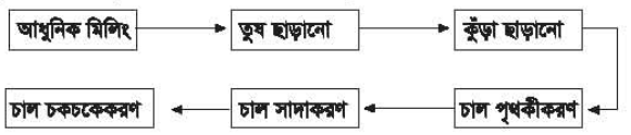 ধান মিলিং