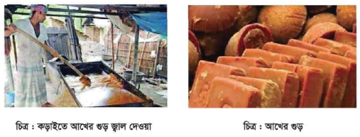 আখের রস নিষ্কাশনের বিভিন্ন ধাপ