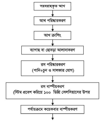 আখের রস নিষ্কাশনের বিভিন্ন ধাপ