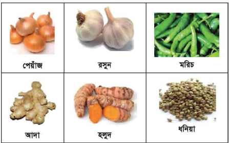 মশলার শ্রেণিবিভাগ ও পুষ্টিমান