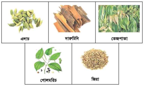 মশলার শ্রেণিবিভাগ ও পুষ্টিমান