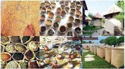 ডাল সংরক্ষণ