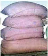 ডাল সংরক্ষণ