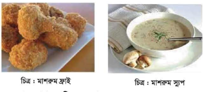 মাশরুম ফ্রাই