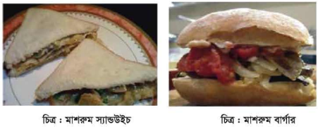মাশরুম স্যান্ডউইচ ও বার্গার