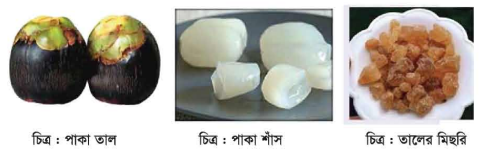 তালের পুষ্টি