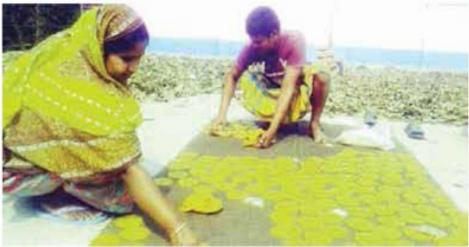 মুগ ডাল ও মটর ডাল থেকে বিভিন্ন খাদ্য তৈরি