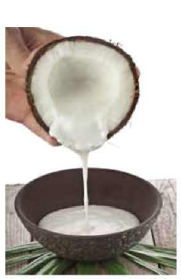 নারিকেল থেকে উৎপাদিত বিভিন্ন খাদ্য ও অন্যান্য দ্রব্য