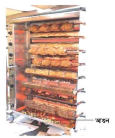 নারিকেল মুরগির গ্রিল