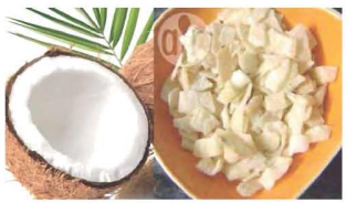 নারিকেল মুরগির গ্রিল