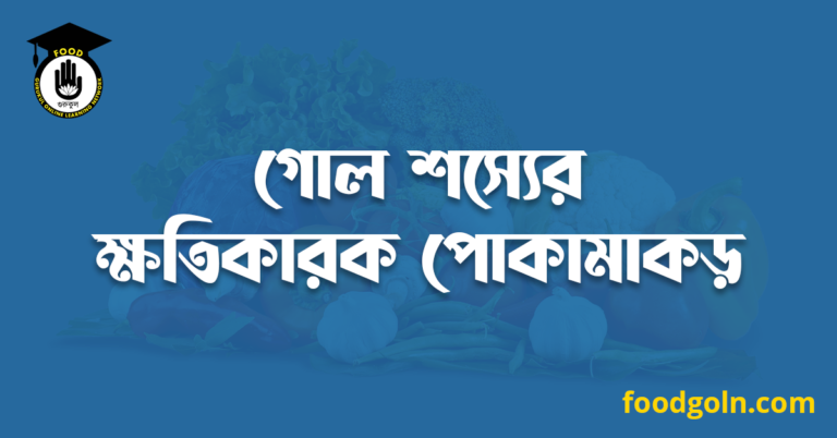 গোল শস্যের ক্ষতিকারক পোকামাকড়