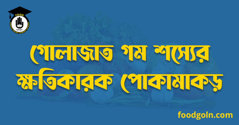 গোলাজাত গম শস্যের ক্ষতিকারক পোকামাকড়