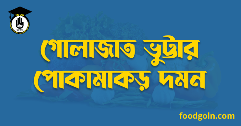 গোলাজাত ভুট্টার পোকামাকড় দমন