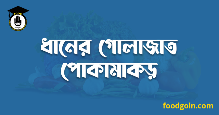 ধানের গোলাজাত পোকামাকড়