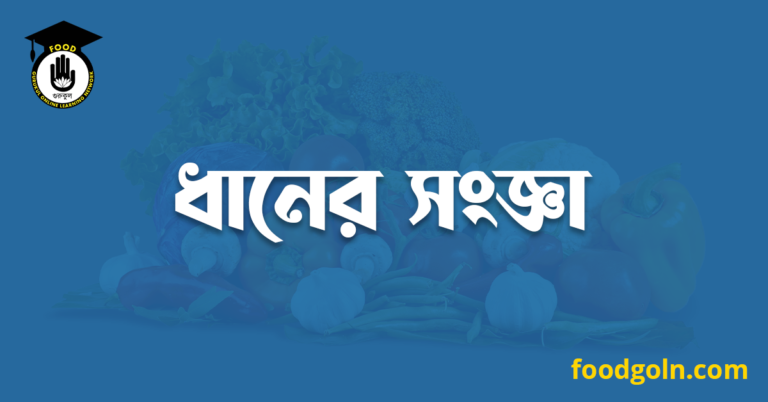 ধানের সংজ্ঞা