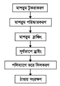 মাশরুম শুকানো পদ্ধতি অনুশীলন