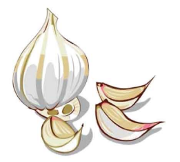 রসুনের আচার তৈরি অনুশীলন