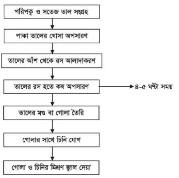 তালের জ্যাম তৈরি