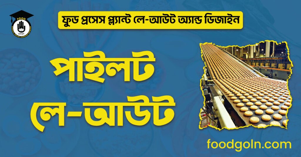 পাইলট লে-আউট