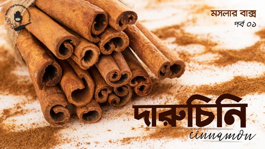 দারুচিনি নিয়ে বিস্তারিত