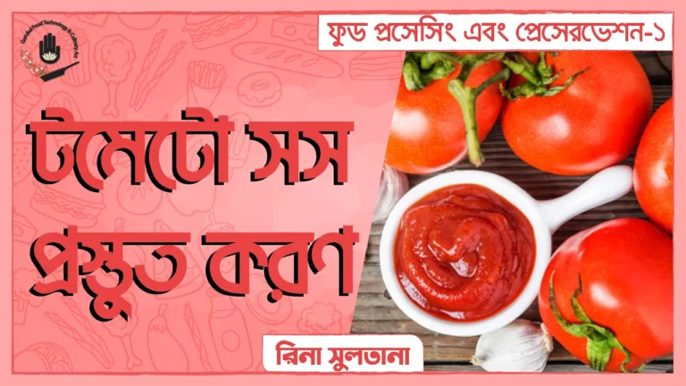 টমেটো সস প্রস্তুত করণ