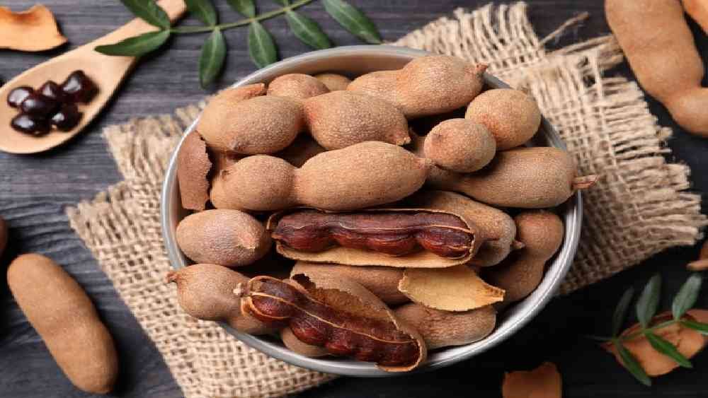 তেঁতুলের চাটনি উৎপাদন